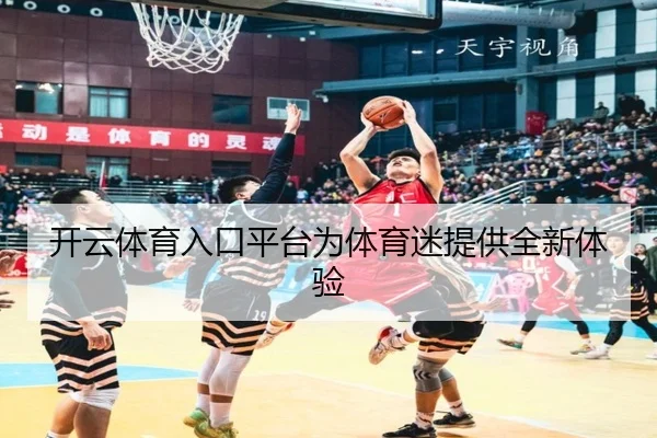 开云体育入口平台为体育迷提供全新体验